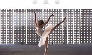 Davis - website design